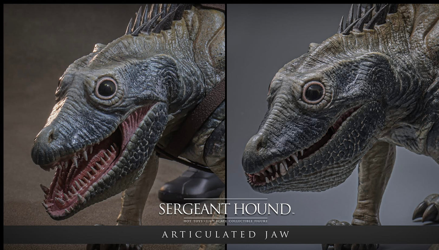 Pre-Order Hot Toys TMS167 Star Wars: The Clone Wars - 1/6th scale Sergeant Hound Collectible Figure