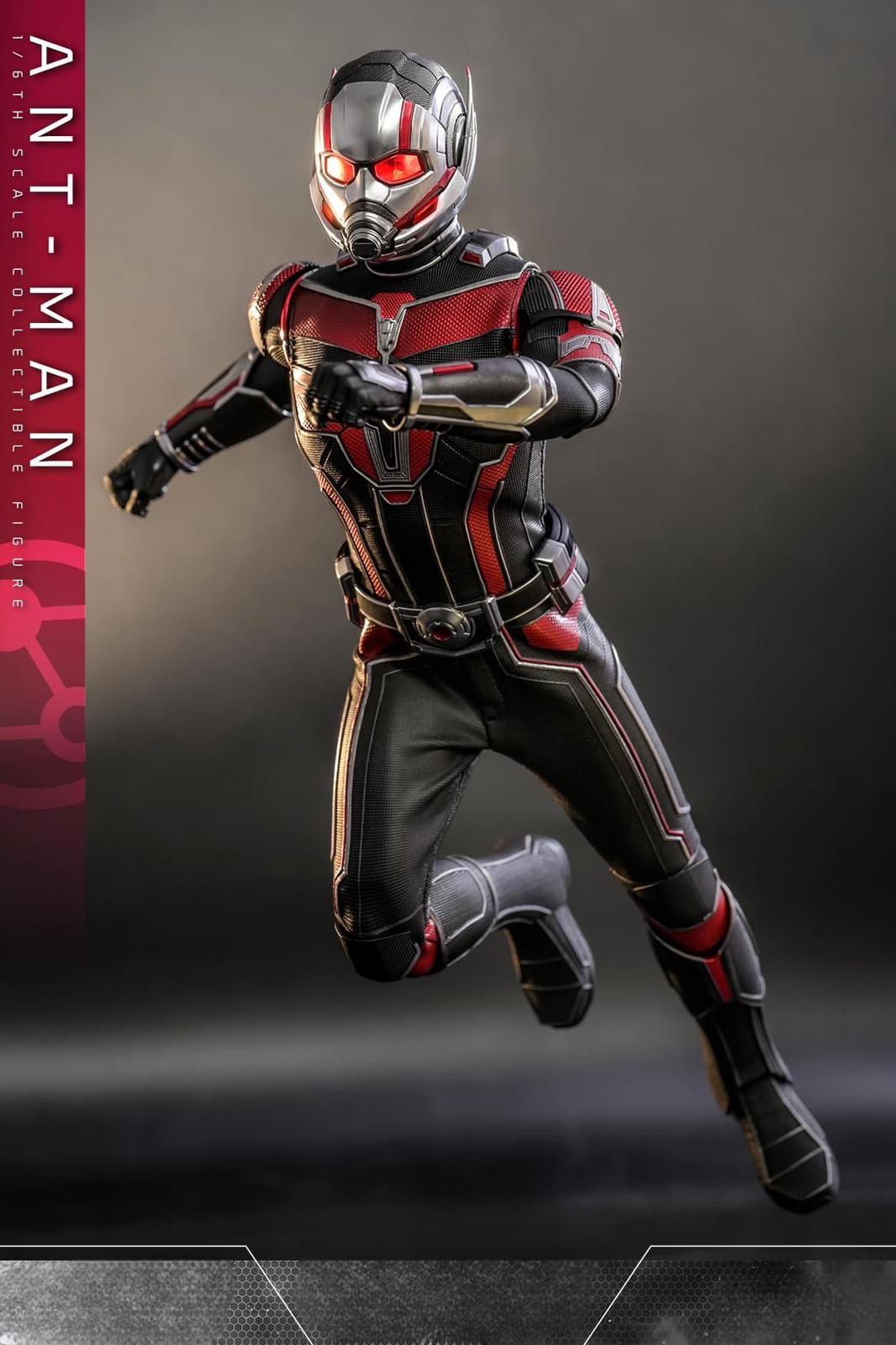 Hot Toys MMS690 Ant-Man and the Wasp: Quantumania - 1/6th scale Ant-Man Collectible Figure