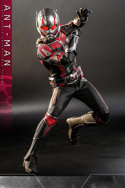 Hot Toys MMS690 Ant-Man and the Wasp: Quantumania - 1/6th scale Ant-Man Collectible Figure