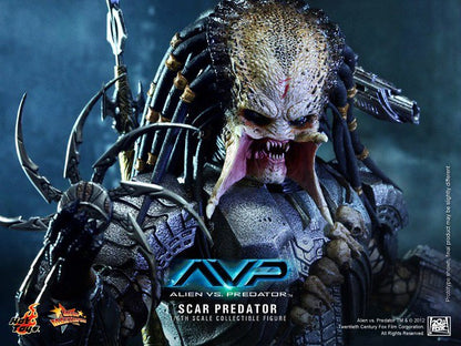 Hot Toys MMS190 Alien vs. Predator - 1/6th scale Scar Predator Collectible Figure