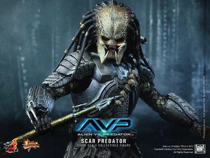 Hot Toys MMS190 Alien vs. Predator - 1/6th scale Scar Predator Collectible Figure