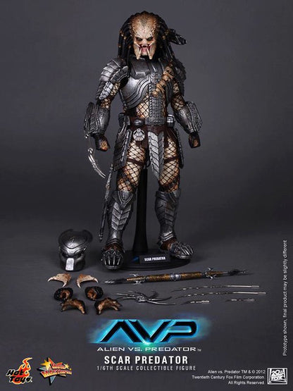 Hot Toys MMS190 Alien vs. Predator - 1/6th scale Scar Predator Collectible Figure