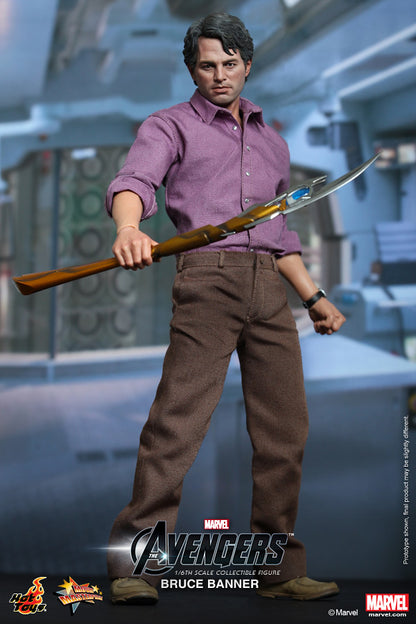 Hot Toys MMS229 - The Avengers: 1/6th scale Bruce Banner Collectible Figure