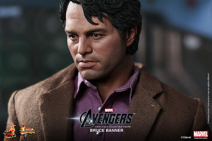 Hot Toys MMS229 - The Avengers: 1/6th scale Bruce Banner Collectible Figure