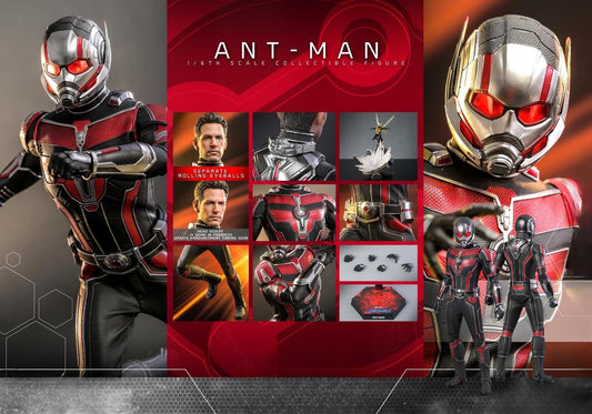 Hot Toys MMS690 Ant-Man and the Wasp: Quantumania - 1/6th scale Ant-Man Collectible Figure