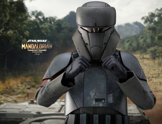 Hot Toys TMS030 Star Wars: The Mandalorian - 1/6th scale Transport TrooperTM Collectible Figure