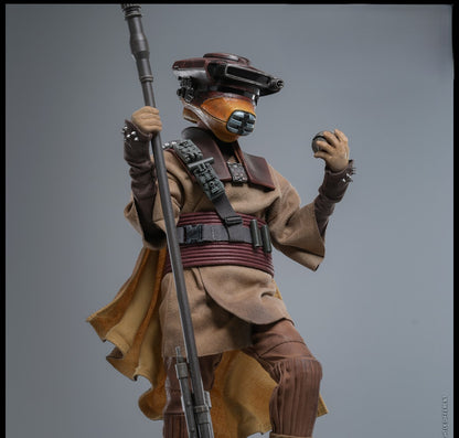 Pre-Order Hot Toys MMS854 Star Wars: Return of the Jedi - 1/6th scale Leia Organa (Boushh Disguise) Collectible Figure