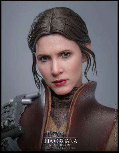 Pre-Order Hot Toys MMS854 Star Wars: Return of the Jedi - 1/6th scale Leia Organa (Boushh Disguise) Collectible Figure