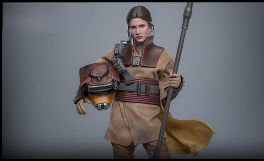 Pre-Order Hot Toys MMS854 Star Wars: Return of the Jedi - 1/6th scale Leia Organa (Boushh Disguise) Collectible Figure