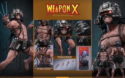 Pre-Order Hot Toys CMS034 Marvel Comics - 1/6th scale Weapon X Collectible Figure