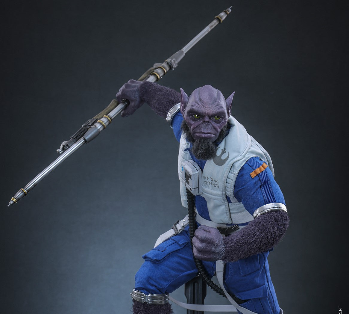 Pre-Order Hot Toys MMS876 Star Wars: The Mandalorian & Grogu - 1/6th scale Zeb Orrelios Collectible Figure