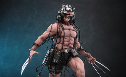 Pre-Order Hot Toys CMS034 Marvel Comics - 1/6th scale Weapon X Collectible Figure