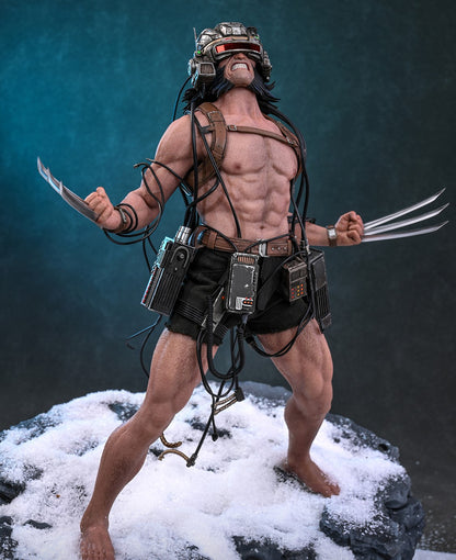 Pre-Order Hot Toys CMS034 Marvel Comics - 1/6th scale Weapon X Collectible Figure