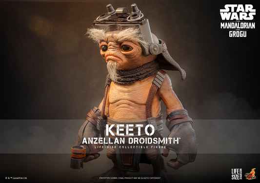 Hot Toys LMS018 Star Wars: The Mandalorian & Grogu - Keeto (Anzellan Droidsmith) Collectible Figure