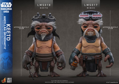 Hot Toys LMS018 Star Wars: The Mandalorian & Grogu - Keeto (Anzellan Droidsmith) Collectible Figure
