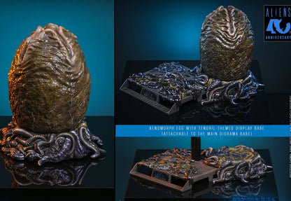 Pre-Order Hot Toys MMS899 Aliens - 1/6th scale Alien Warrior Collectible Figure (Deluxe Version)
