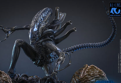 Pre-Order Hot Toys MMS899 Aliens - 1/6th scale Alien Warrior Collectible Figure (Deluxe Version)