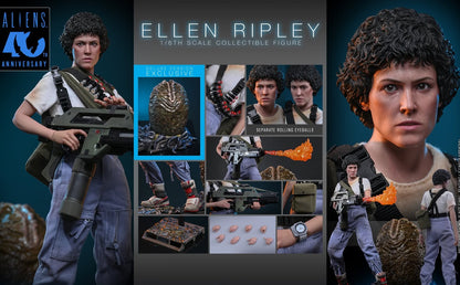 Pre-Order Hot Toys MMS895 Aliens - 1/6th scale Ellen Ripley Collectible Figure (Deluxe Version)