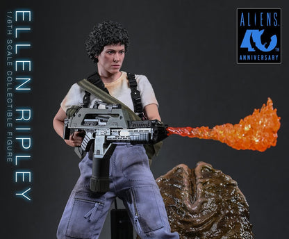 Pre-Order Hot Toys MMS894 Aliens - 1/6th scale Ellen Ripley Collectible Figure