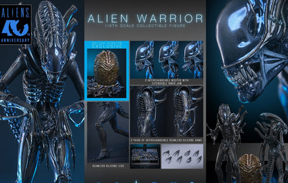 Pre-Order Hot Toys MMS899 Aliens - 1/6th scale Alien Warrior Collectible Figure (Deluxe Version)