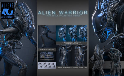Pre-Order Hot Toys MMS898 Aliens - 1/6th scale Alien Warrior Collectible Figure