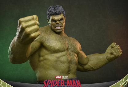 Pre-Order Hot Toys MMS905 Spider-Man: Brand New Day - 1/6th scale Hulk Collectible Figure