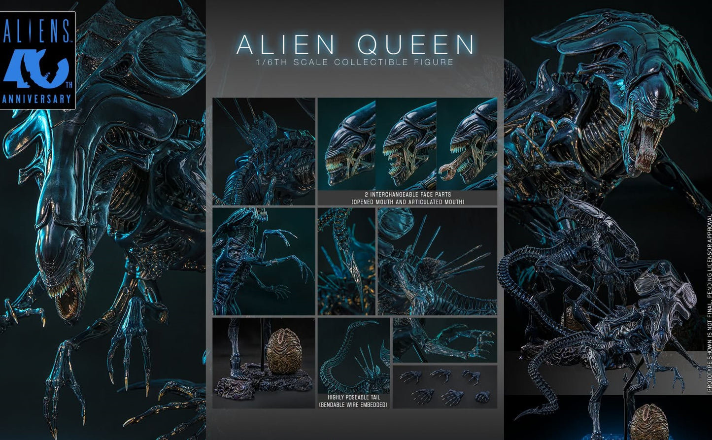 Pre-Order Hot Toys MMS903 Aliens - 1/6th scale Alien Queen Collectible Figure