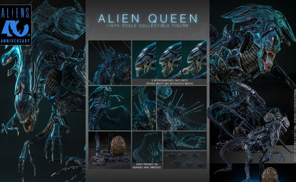 Pre-Order Hot Toys MMS903 Aliens - 1/6th scale Alien Queen Collectible Figure