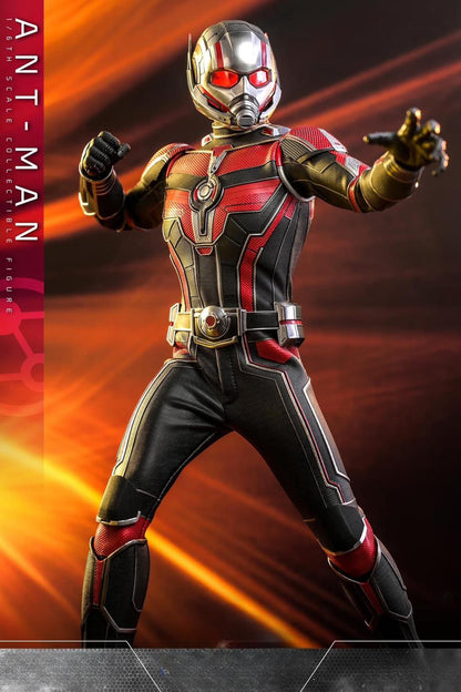 Hot Toys MMS690 Ant-Man and the Wasp: Quantumania - 1/6th scale Ant-Man Collectible Figure