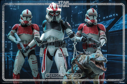 Hot Toys TMS167 Star Wars: The Clone Wars - 1/6th scale Sergeant Hound Collectible Figure