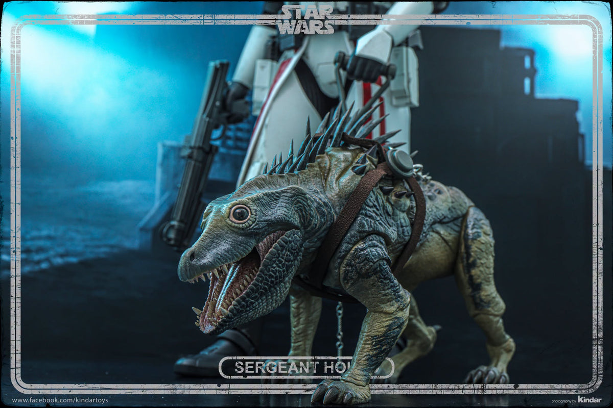 Hot Toys TMS167 Star Wars: The Clone Wars - 1/6th scale Sergeant Hound Collectible Figure