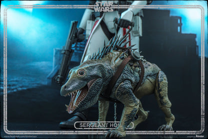 Hot Toys TMS167 Star Wars: The Clone Wars - 1/6th scale Sergeant Hound Collectible Figure