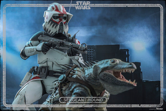 Hot Toys TMS167 Star Wars: The Clone Wars - 1/6th scale Sergeant Hound Collectible Figure