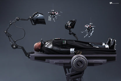 Hot Toys MMS811 Star Wars: Revenge of the Sith - 1/6th scale Darth Vader Collectible Figure (Deluxe Version)