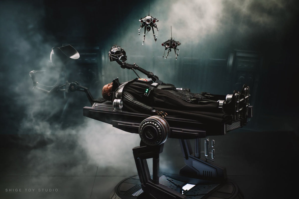 Hot Toys MMS811B Star Wars: Revenge of the Sith - 1/6th scale Darth Vader Collectible Figure (Deluxe Version) (Special Edition)