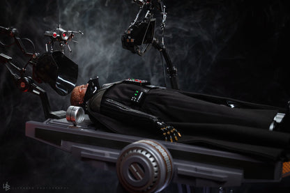 Hot Toys MMS811 Star Wars: Revenge of the Sith - 1/6th scale Darth Vader Collectible Figure (Deluxe Version)