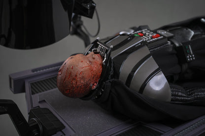 Hot Toys MMS811 Star Wars: Revenge of the Sith - 1/6th scale Darth Vader Collectible Figure (Deluxe Version)