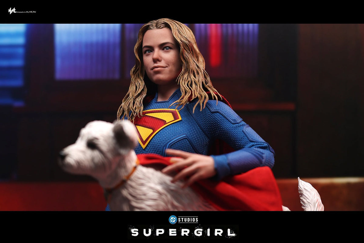 Hot Toys MMS869 Supergirl - 1/6th scale Supergirl & Krypto Collectible Set