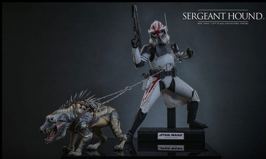 Pre-Order Hot Toys TMS167 Star Wars: The Clone Wars - 1/6th scale Sergeant Hound Collectible Figure