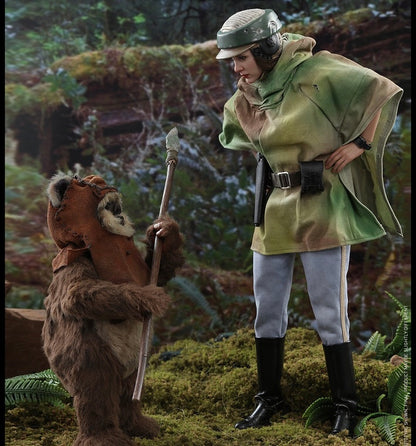 Hot Toys MMS551 Star Wars: Return of the Jedi - 1/6th scale Princess Leia and Wicket Collectible Figures Set