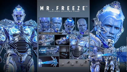 Pre-Order Hot Toys MMS799 Batman & Robin - 1/6th scale Mr. Freeze Collectible Figure