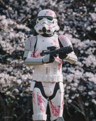 Hot Toys MMS776 Star Wars - 1/6th scale Stormtrooper (Cherry Blossom Version) Collectible Figure (Hot Toys Exclusive)