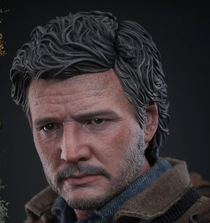 Pre-Order Hot Toys TMS160 The Last of Us - 1/6th scale Joel Miller Collectible Figure