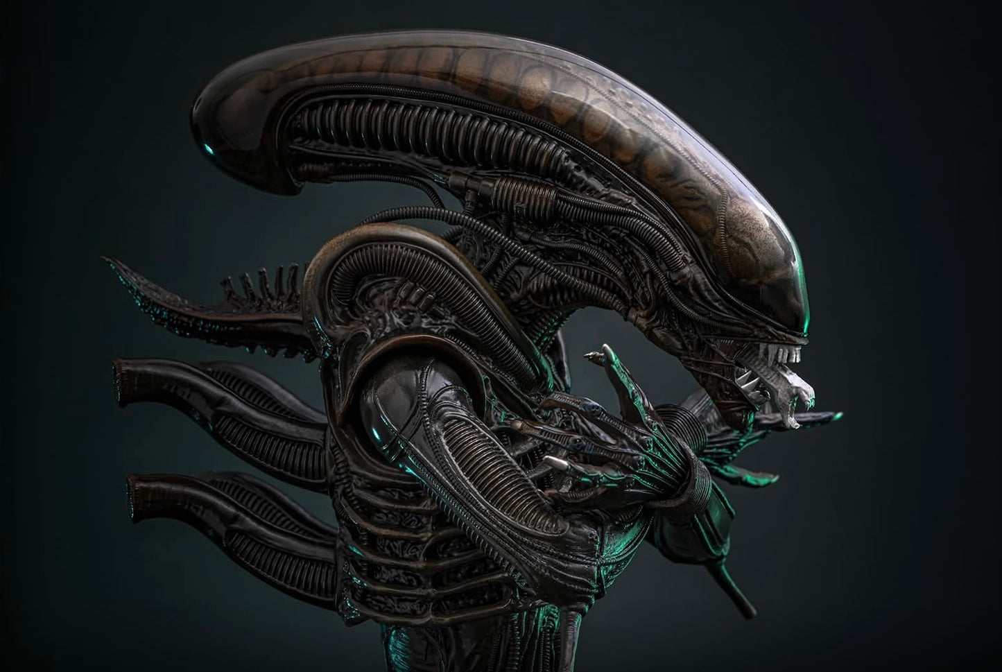 Pre-Order Hot Toys MMS826B Alien - 1/6th scale Big Chap Collectible Figure (Special Edition)