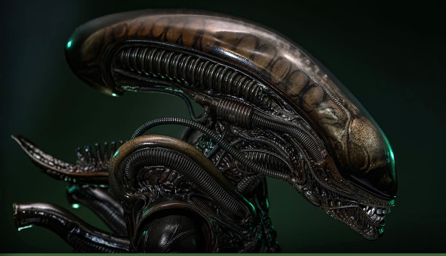 Pre-Order Hot Toys MMS826 Alien - 1/6th scale Big Chap Collectible Figure