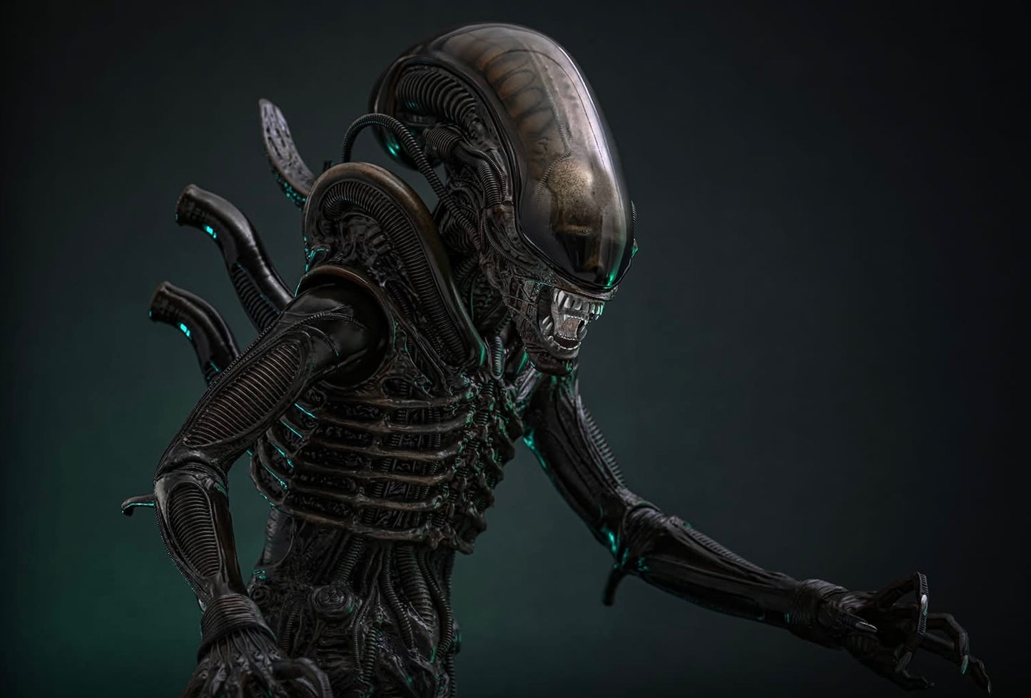 Pre-Order Hot Toys MMS826 Alien - 1/6th scale Big Chap Collectible Figure