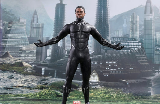 Hot Toys MMS470 Black Panther - 1/6th scale Black Panther Collectible Figure