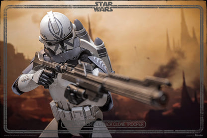 Hot Toys TMS142 Star Wars: The Clone Wars - 1/6th scale 104th Battalion Wolfpack Clone Trooper Collectible Figure