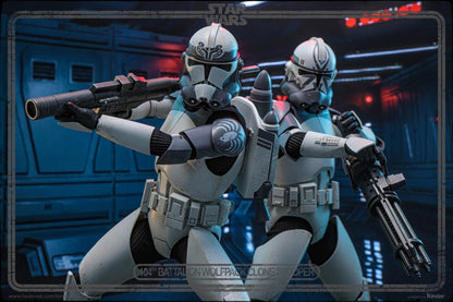 Hot Toys TMS143 Star Wars: The Clone Wars - 104th Battalion Wolfpack Clone Trooper Collectible Figure (Deluxe Version)