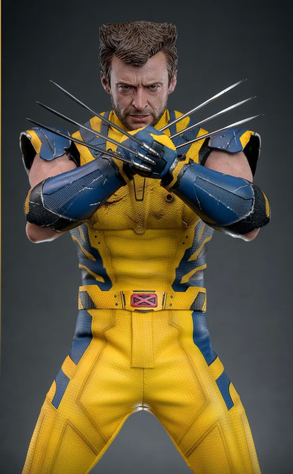 Pre-Order Hot Toys MMS754 Deadpool & Wolverine - 1/6th scale Wolverine Collectible Figure (Deluxe Version)